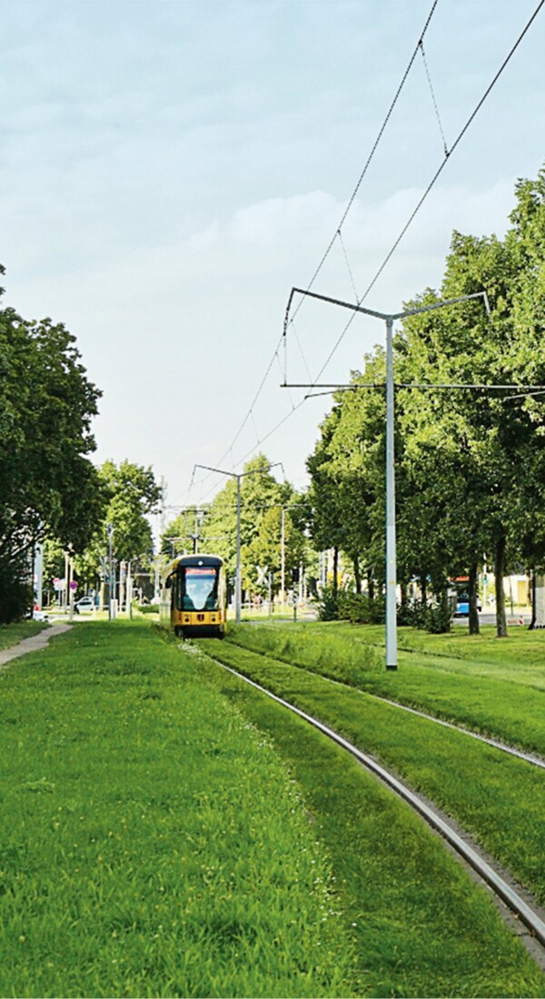 Straßenbahn auf grünem, mit Rasen bewachsenem Gleisbett