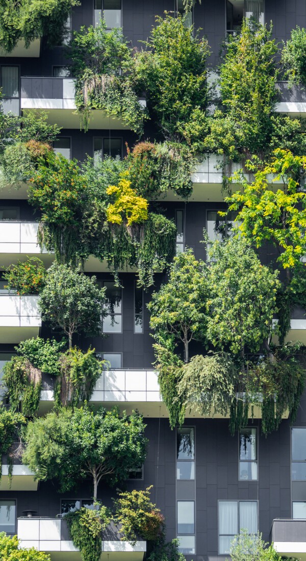 Eine Hauswand von einem Hochhaus mit großen Pflanzen und Bäumen auf den Balkonen